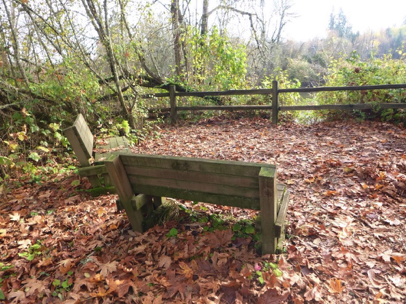 Two benches at overlook of Tualatin River – natural surface – wood railing at embankment